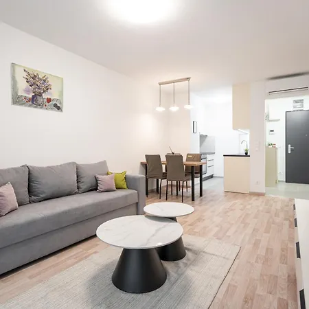 Downtown Lonyay 38 Apartment