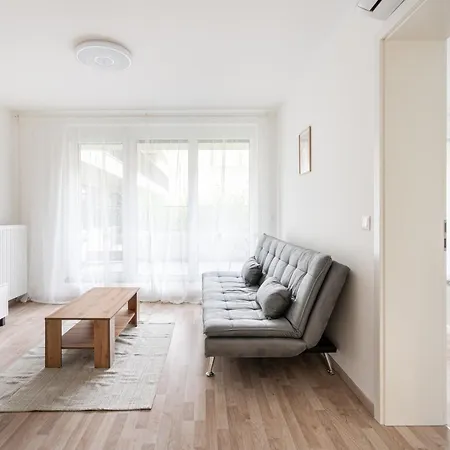 Downtown Lonyay 38 Apartment