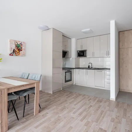 Downtown Lonyay 38 Apartment