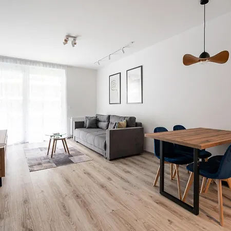 Downtown Lonyay 38 公寓 布达佩斯