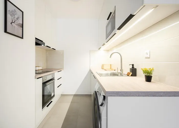 公寓 Downtown Lonyay 38 布达佩斯