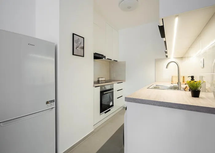 Downtown Lonyay 38 公寓