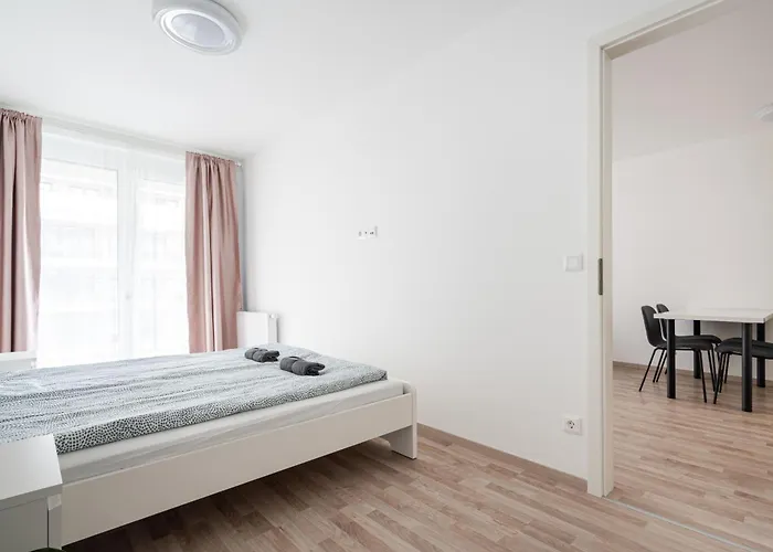 Downtown Lonyay 38 公寓