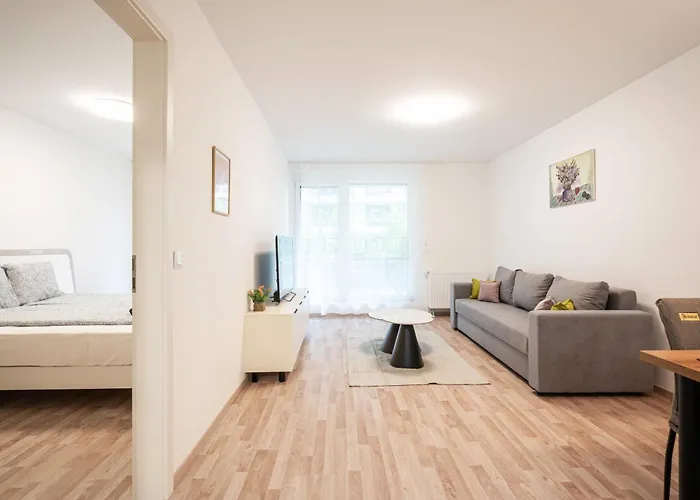 Downtown Lonyay 38 公寓