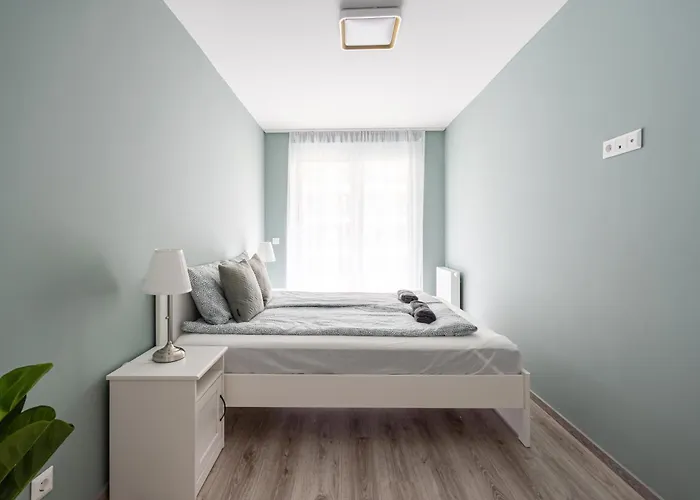 Downtown Lonyay 38 公寓 *