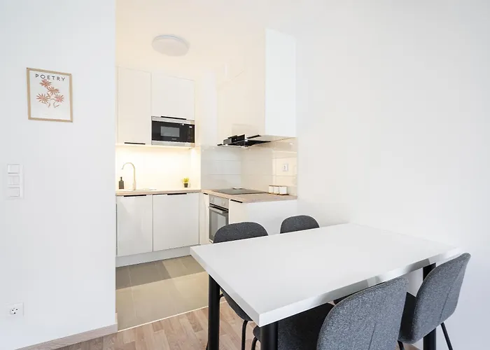 公寓 Downtown Lonyay 38