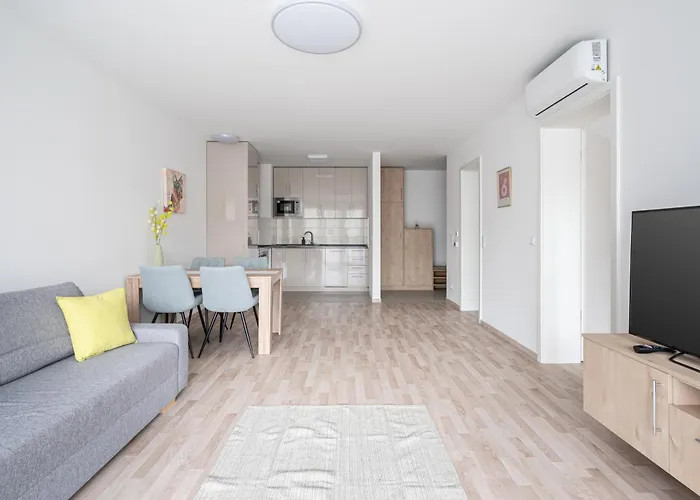 Downtown Lonyay 38 公寓 *