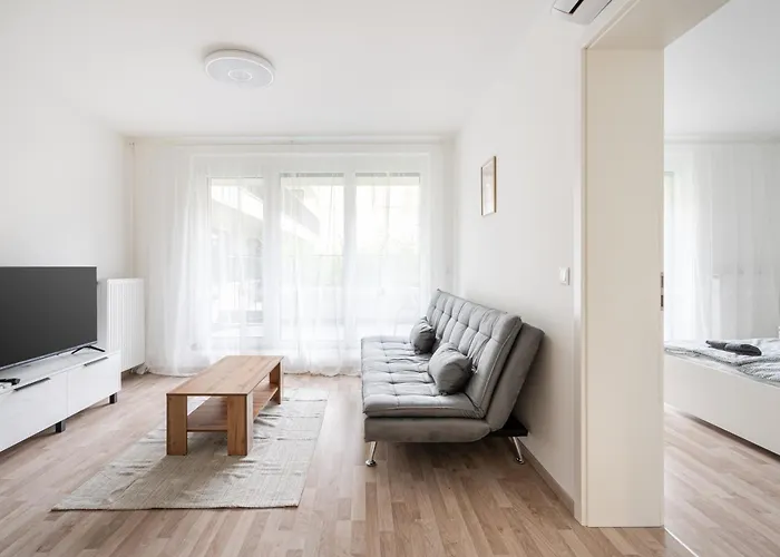 Downtown Lonyay 38 公寓