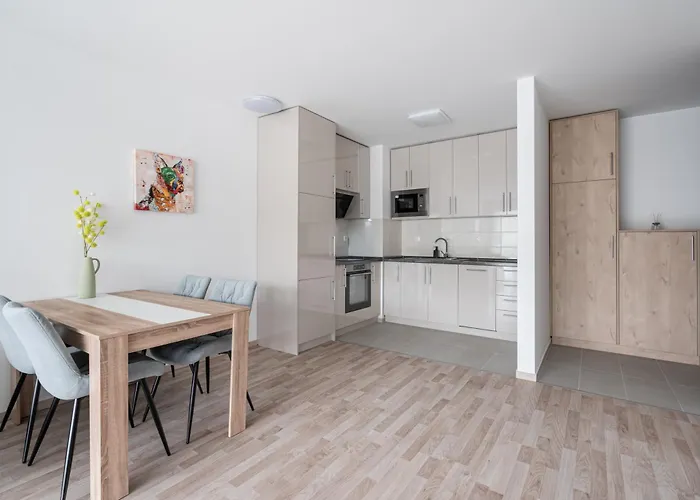 Downtown Lonyay 38 公寓