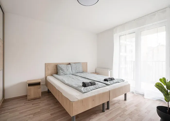 Downtown Lonyay 38 公寓